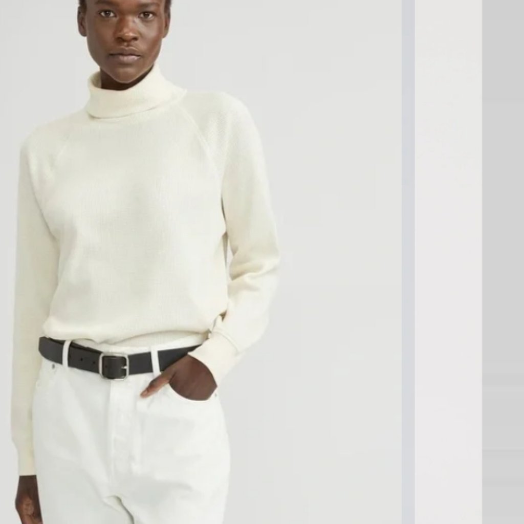 Everlane Organic Cotton Waffle Turtleneck Tee Cream S